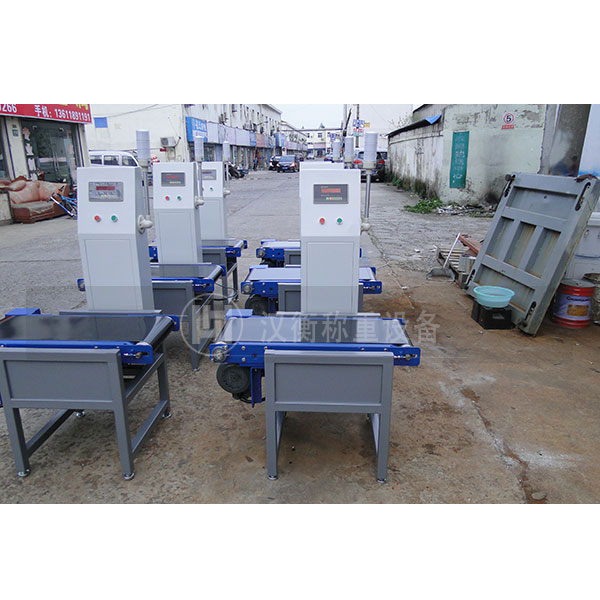 檢重秤 檢重秤廠(chǎng)家 檢重秤價(jià)格